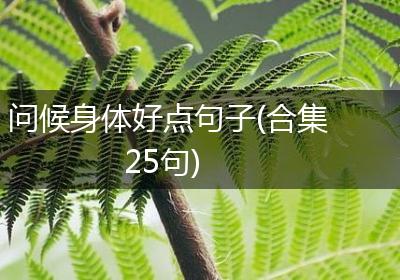 问候身体好点句子(合集25句)