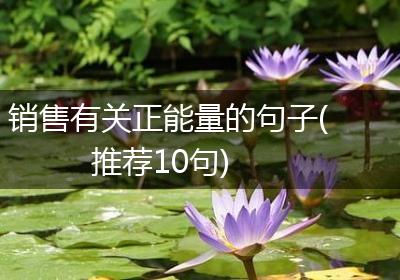 销售有关正能量的句子(推荐10句)