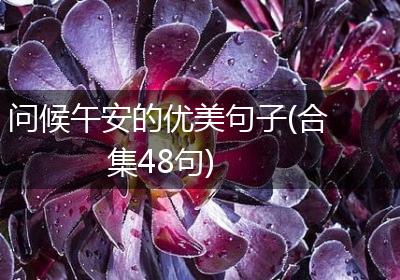 问候午安的优美句子(合集48句)