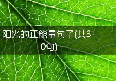 阳光的正能量句子(共30句)