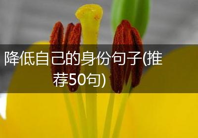 降低自己的身份句子(推荐50句)