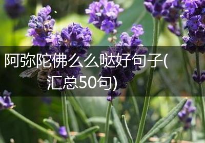 阿弥陀佛么么哒好句子(汇总50句)
