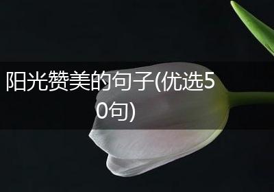 阳光赞美的句子(优选50句)