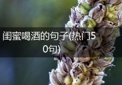 闺蜜喝酒的句子(热门50句)