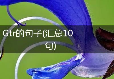 Gtr的句子(汇总10句)