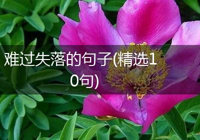 难过失落的句子(精选10句)