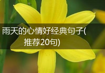 雨天的心情好经典句子(推荐20句)