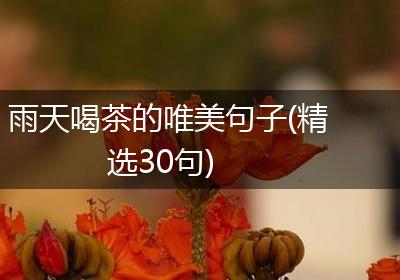 雨天喝茶的唯美句子(精选30句)