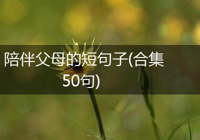 陪伴父母的短句子(合集50句)