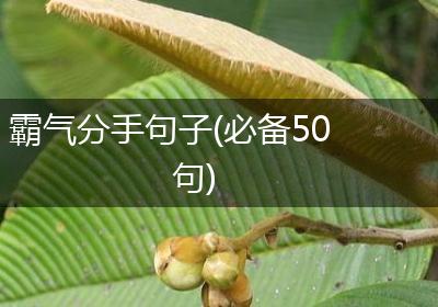 霸气分手句子(必备50句)