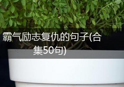 霸气励志复仇的句子(合集50句)