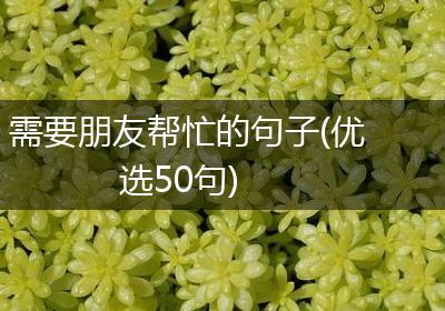 需要朋友帮忙的句子(优选50句)