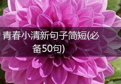 青春小清新句子简短(必备50句)