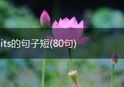 its的句子短(80句)