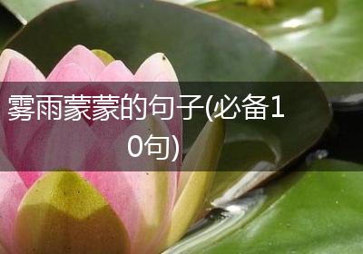 雾雨蒙蒙的句子(必备10句)