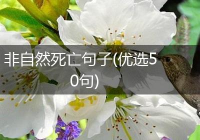非自然死亡句子(优选50句)