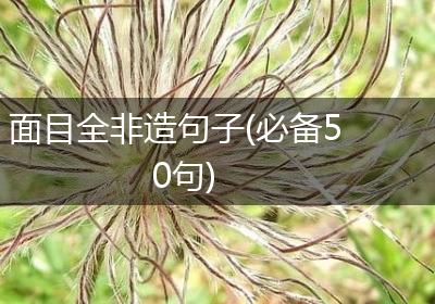 面目全非造句子(必备50句)