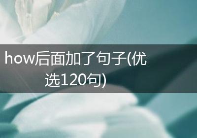 how后面加了句子(优选120句)