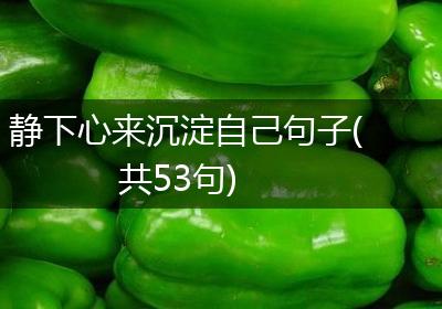 静下心来沉淀自己句子(共53句)
