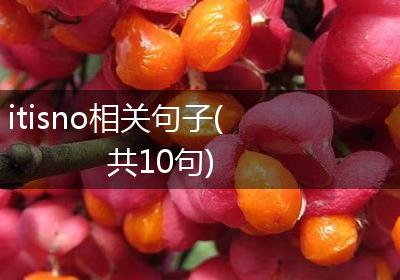 itisno相关句子(共10句)
