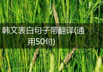 韩文表白句子带翻译(通用50句)