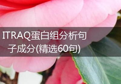 ITRAQ蛋白组分析句子成分(精选60句)