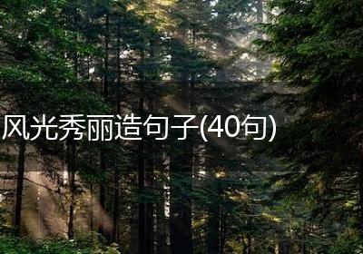 风光秀丽造句子(40句)