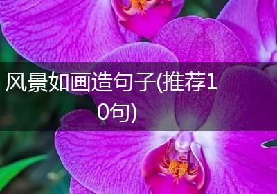 风景如画造句子(推荐10句)