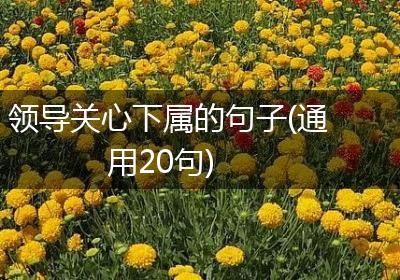 领导关心下属的句子(通用20句)