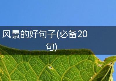 风景的好句子(必备20句)