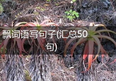 飘词语写句子(汇总50句)
