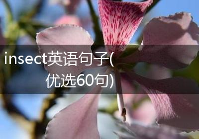insect英语句子(优选60句)