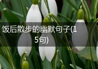 饭后散步的幽默句子(15句)