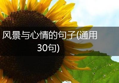 风景与心情的句子(通用30句)