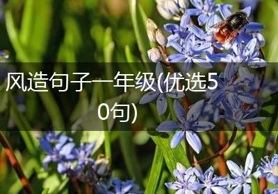 风造句子一年级(优选50句)