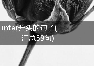 inter开头的句子(汇总59句)