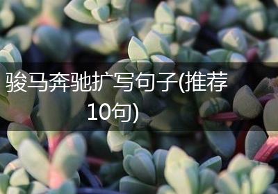 骏马奔驰扩写句子(推荐10句)