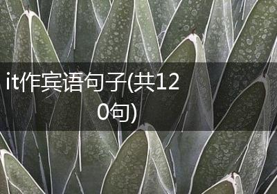 it作宾语句子(共120句)