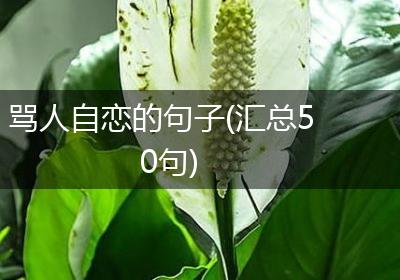 骂人自恋的句子(汇总50句)