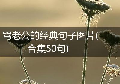 骂老公的经典句子图片(合集50句)