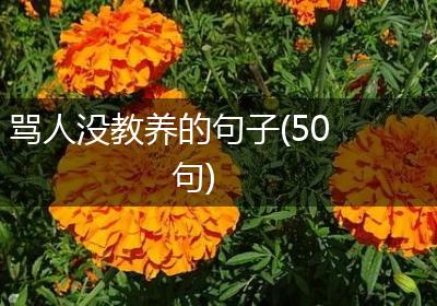 骂人没教养的句子(50句)