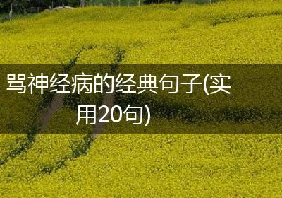 骂神经病的经典句子(实用20句)