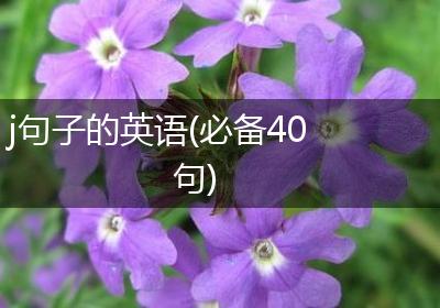 j句子的英语(必备40句)