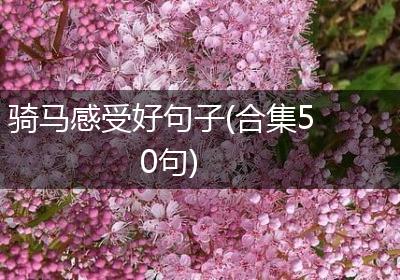 骑马感受好句子(合集50句)