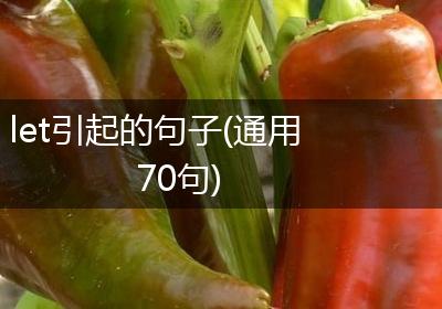 let引起的句子(通用70句)
