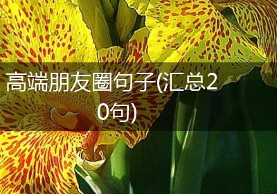 高端朋友圈句子(汇总20句)