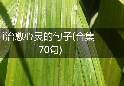 i治愈心灵的句子(合集70句)