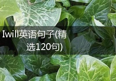 Iwill英语句子(精选120句)