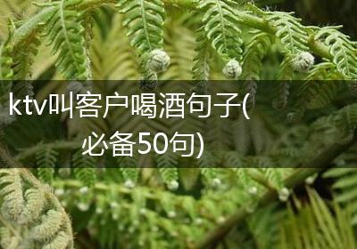 ktv叫客户喝酒句子(必备50句)