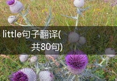 little句子翻译(共80句)